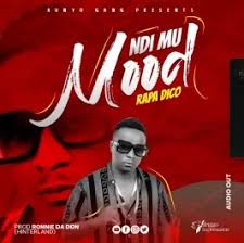 Ndi Mu Mood by Rapa Dico 